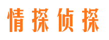 大石桥外遇调查取证